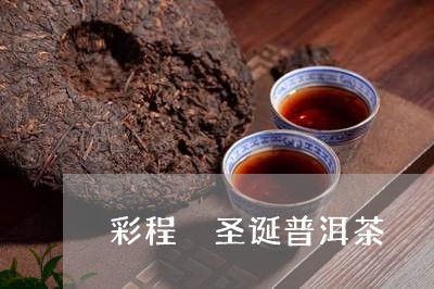 彩程 圣诞普洱茶/2023041086148